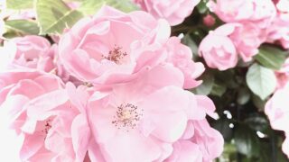 Thumbnail of post image 035